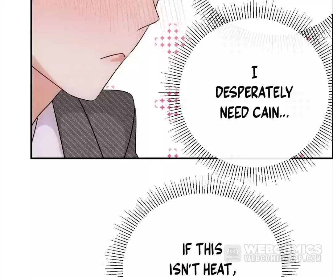 Transmigrated as an Omega who snags his Alpha Chapter 36 page 27 - 
