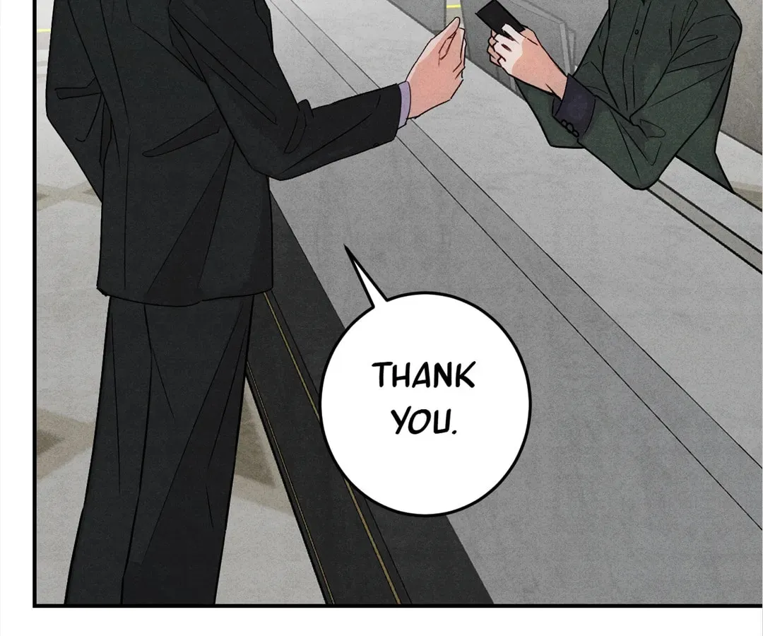 Transmigrated as an Omega who snags his Alpha Chapter 36 page 4 - 