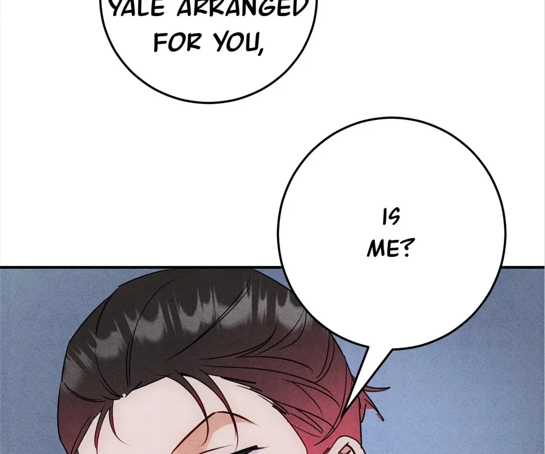 Transmigrated as an Omega who snags his Alpha Chapter 37 page 61 - 