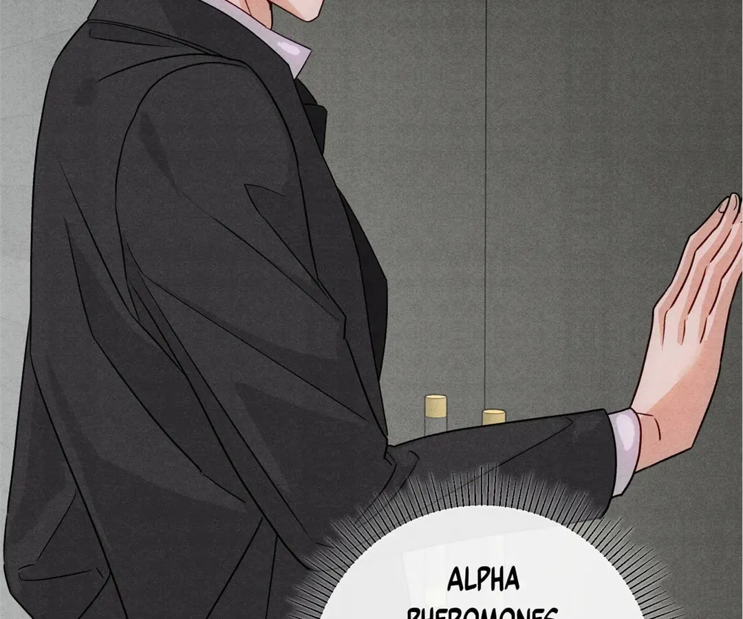 Transmigrated as an Omega who snags his Alpha Chapter 39 page 32 - 