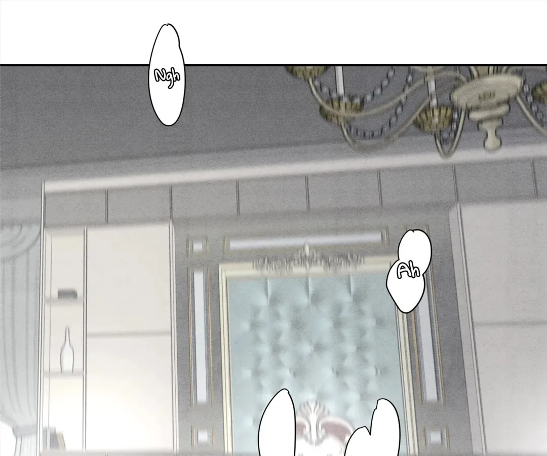 Transmigrated as an Omega who snags his Alpha Chapter 4 page 1 - 