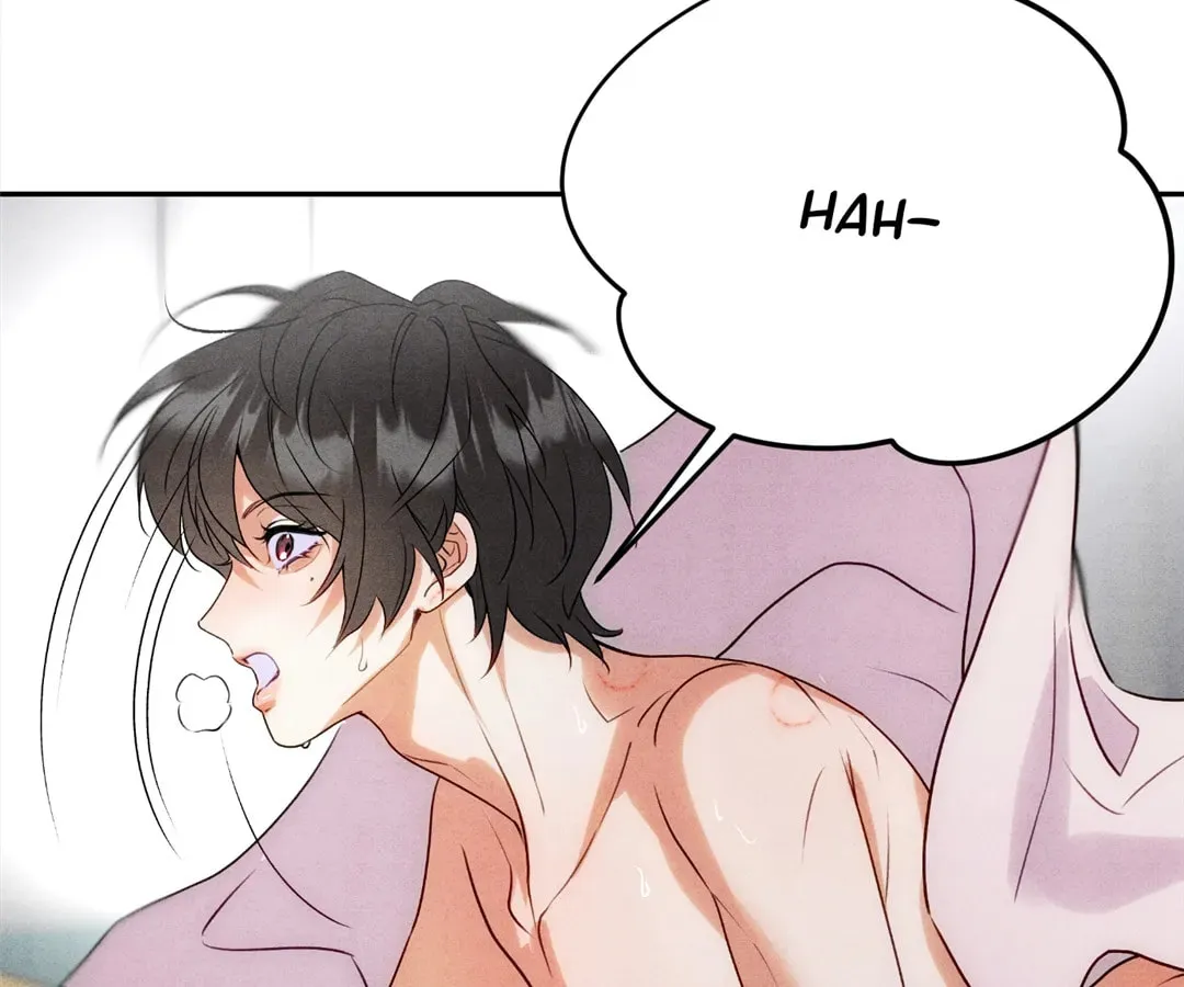 Transmigrated as an Omega who snags his Alpha Chapter 4 page 4 - 