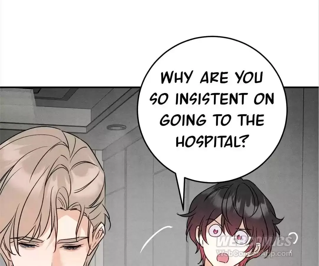 Transmigrated as an Omega who snags his Alpha Chapter 41 page 11 - 
