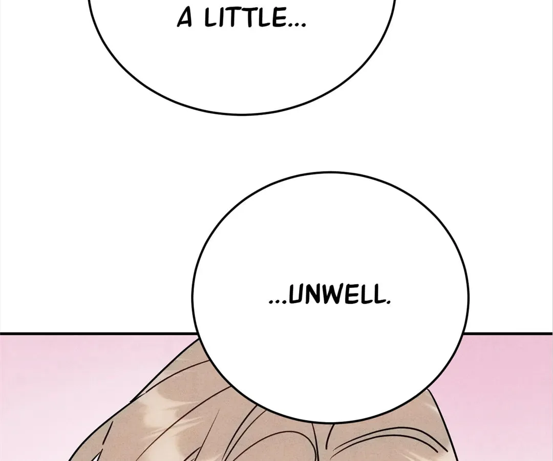 Transmigrated as an Omega who snags his Alpha Chapter 41 page 13 - 