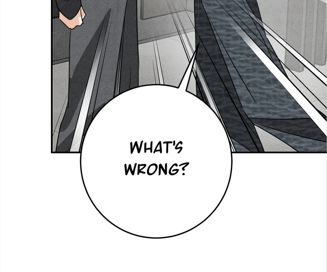 Transmigrated as an Omega who snags his Alpha Chapter 41 page 17 - 
