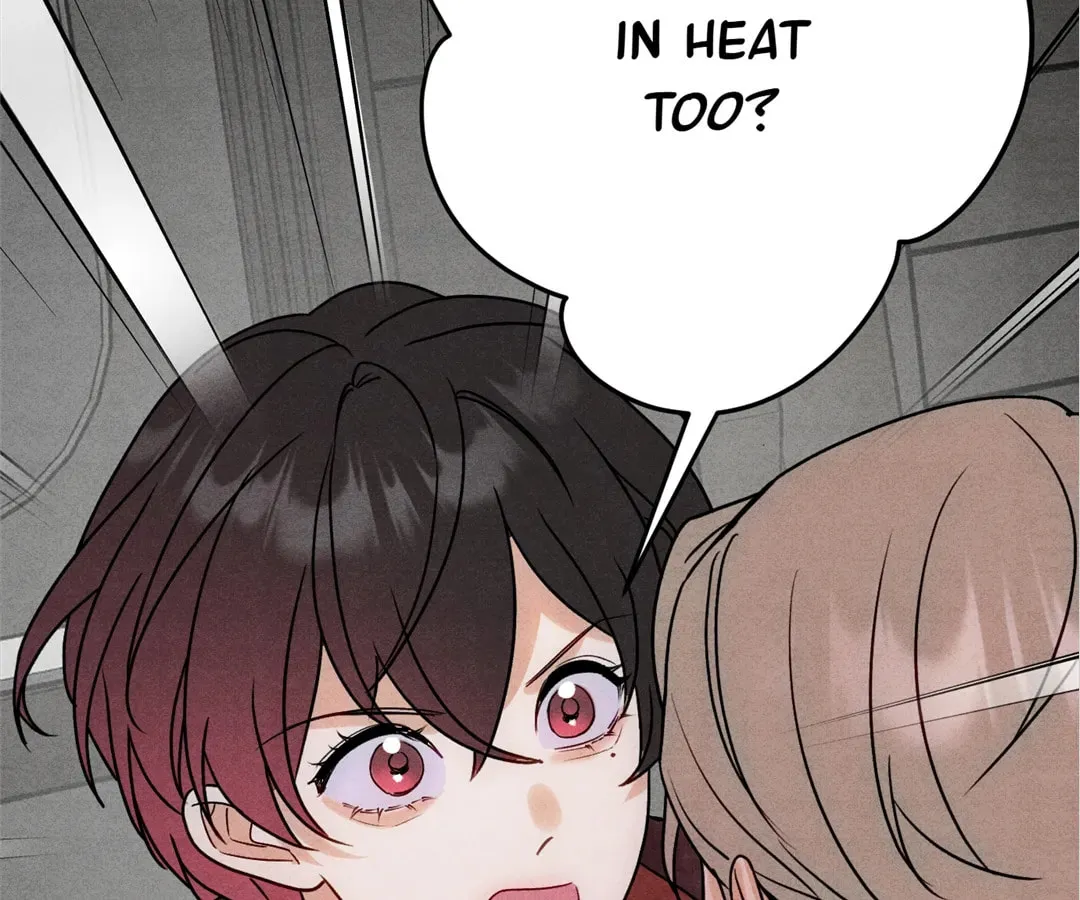 Transmigrated as an Omega who snags his Alpha Chapter 41 page 24 - 