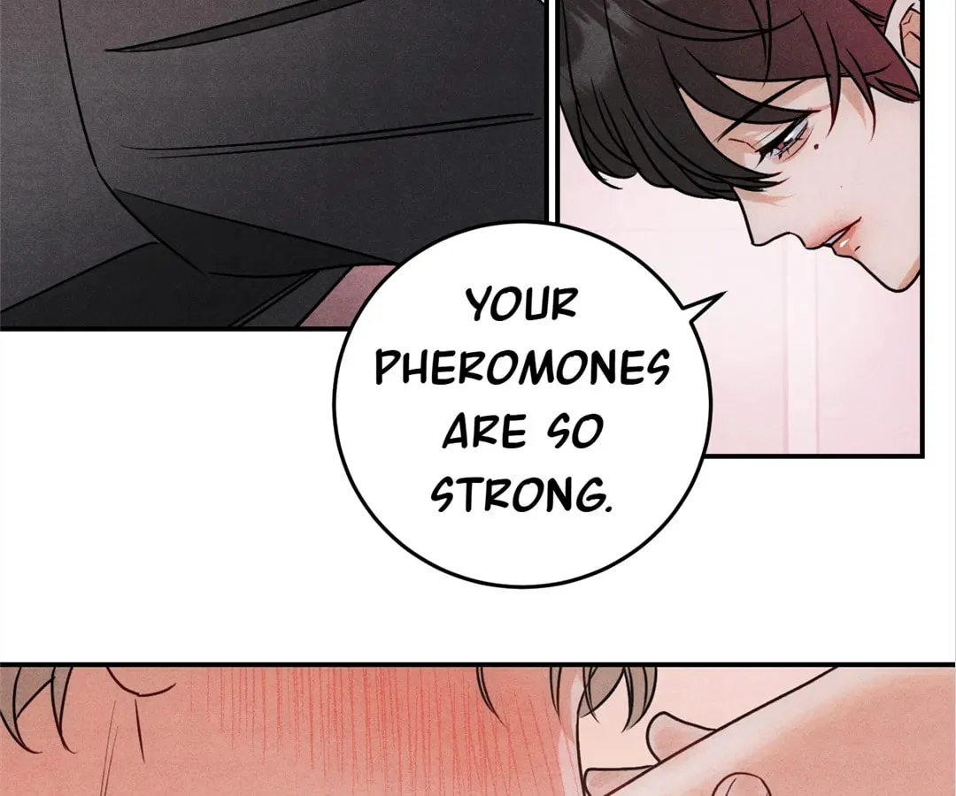 Transmigrated as an Omega who snags his Alpha Chapter 41 page 80 - 