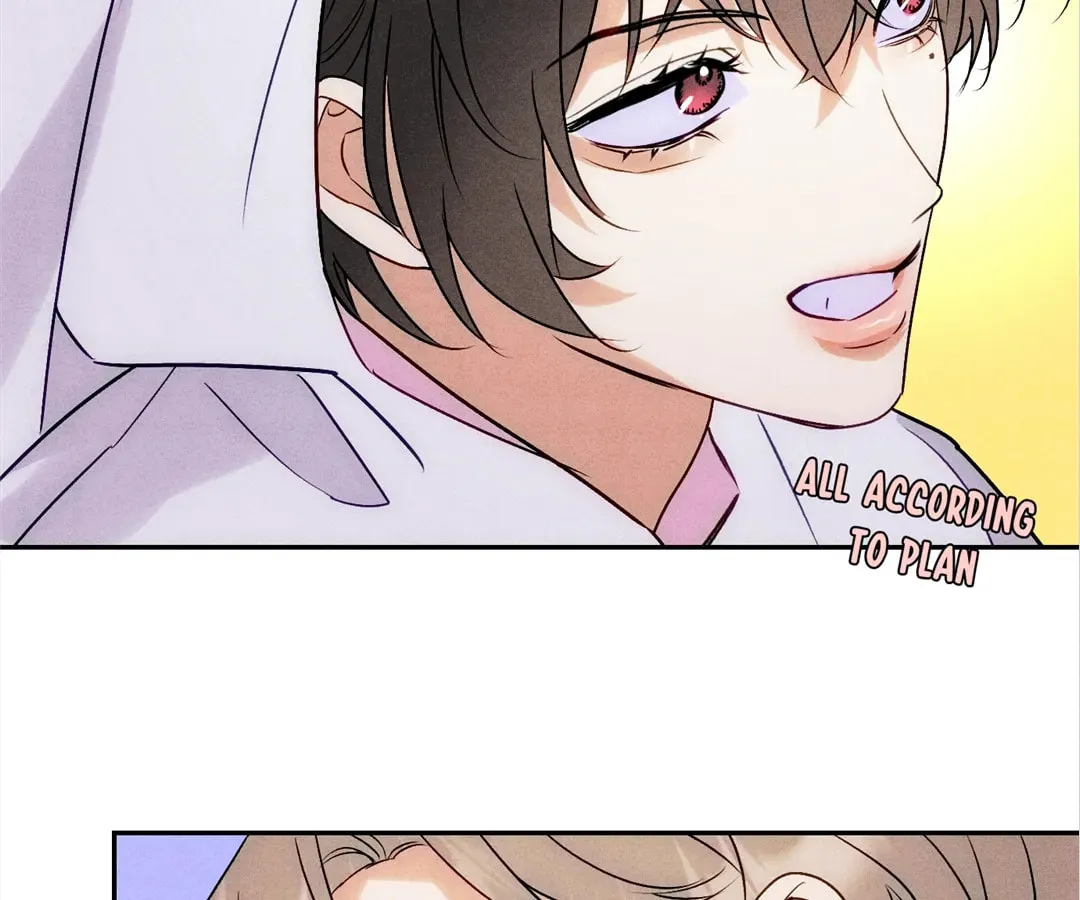 Transmigrated as an Omega who snags his Alpha Chapter 5 page 37 - 