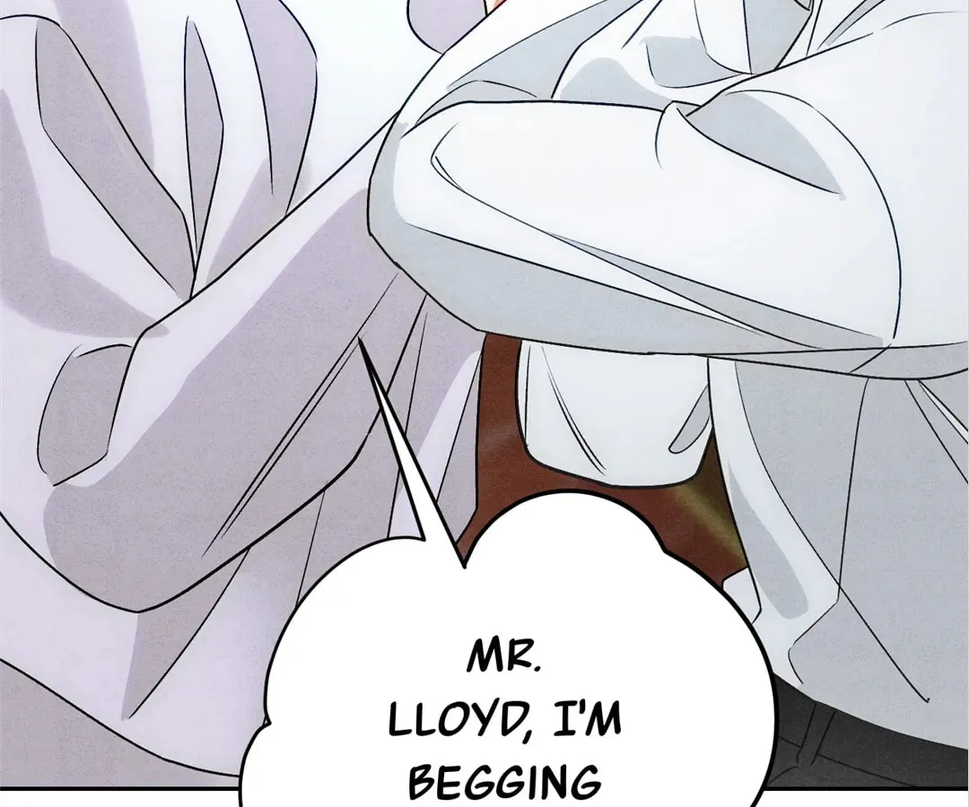 Transmigrated as an Omega who snags his Alpha Chapter 5 page 52 - 