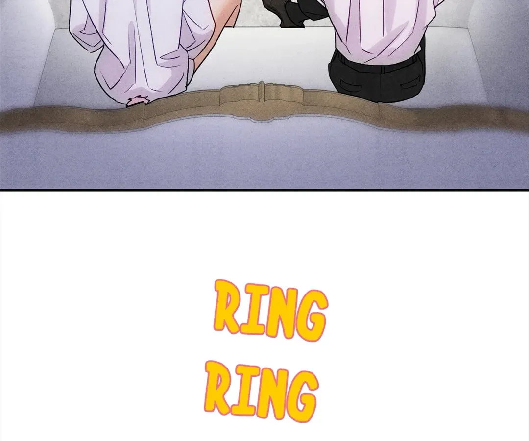 Transmigrated as an Omega who snags his Alpha Chapter 6 page 2 - 