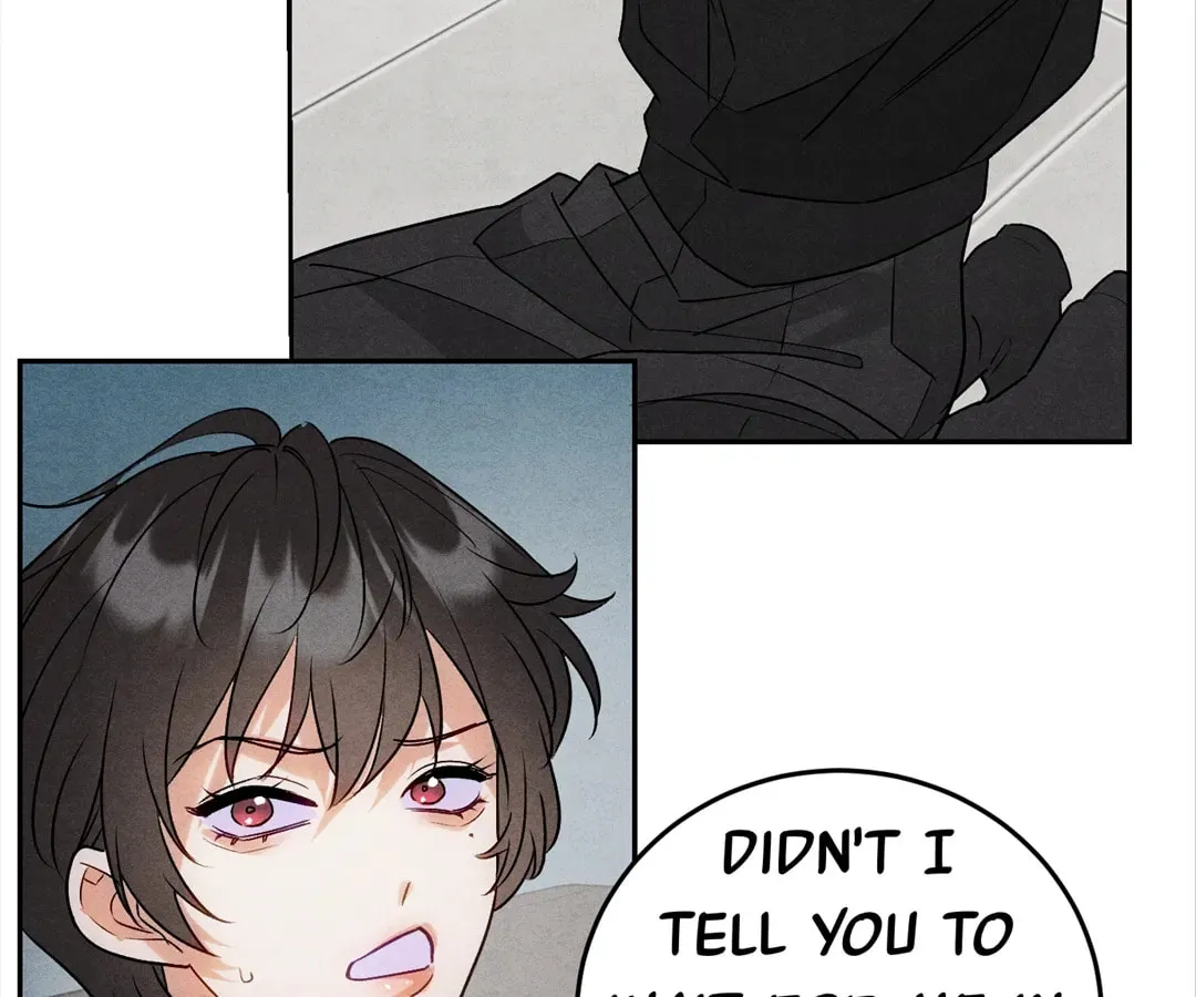 Transmigrated as an Omega who snags his Alpha Chapter 8 page 49 - 