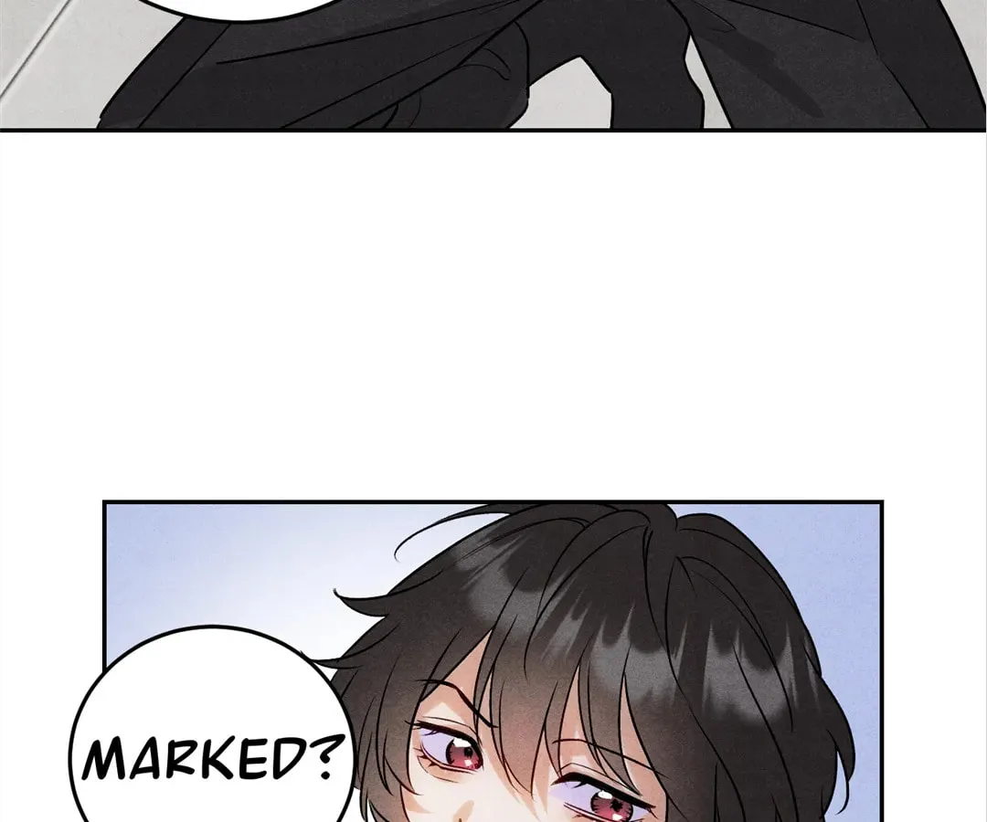 Transmigrated as an Omega who snags his Alpha Chapter 8 page 57 - 