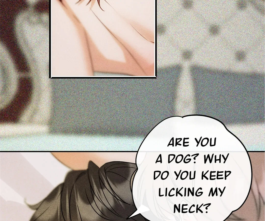 Transmigrated as an Omega who snags his Alpha Chapter 8 page 70 - 