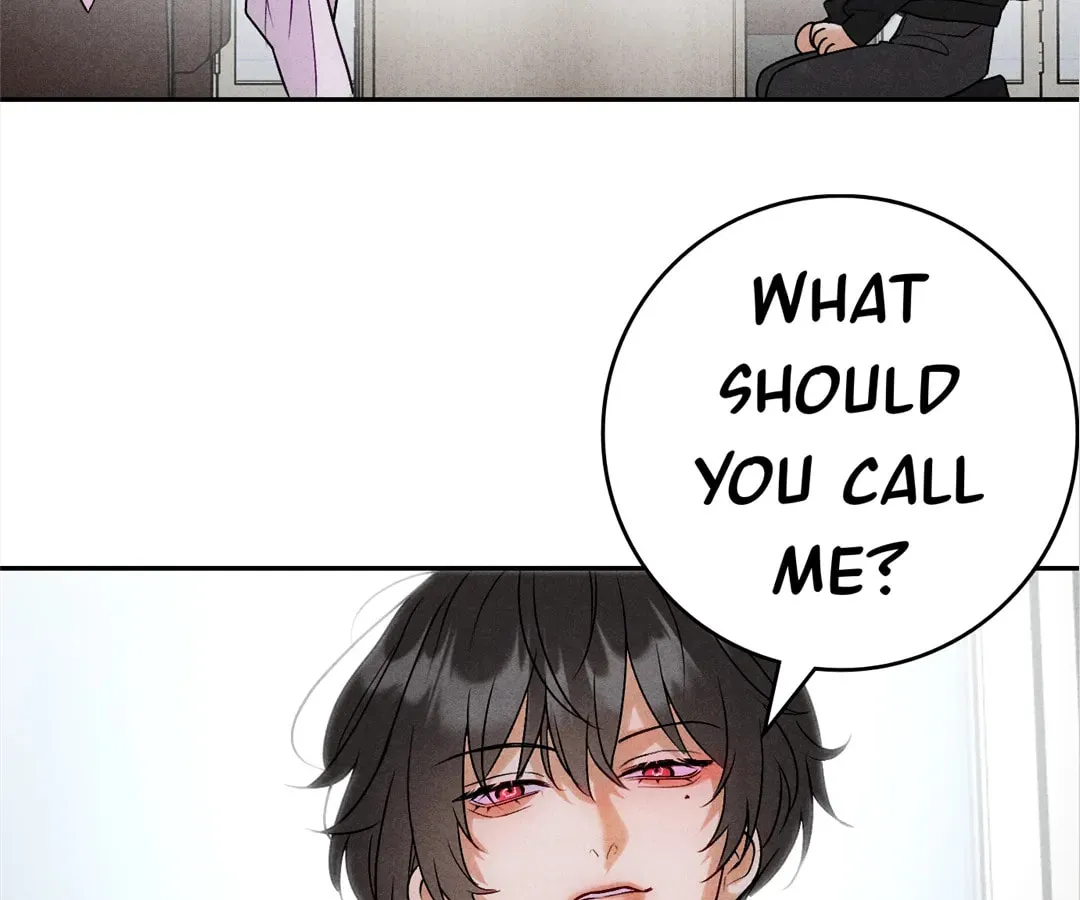 Transmigrated as an Omega who snags his Alpha Chapter 9 page 25 - 