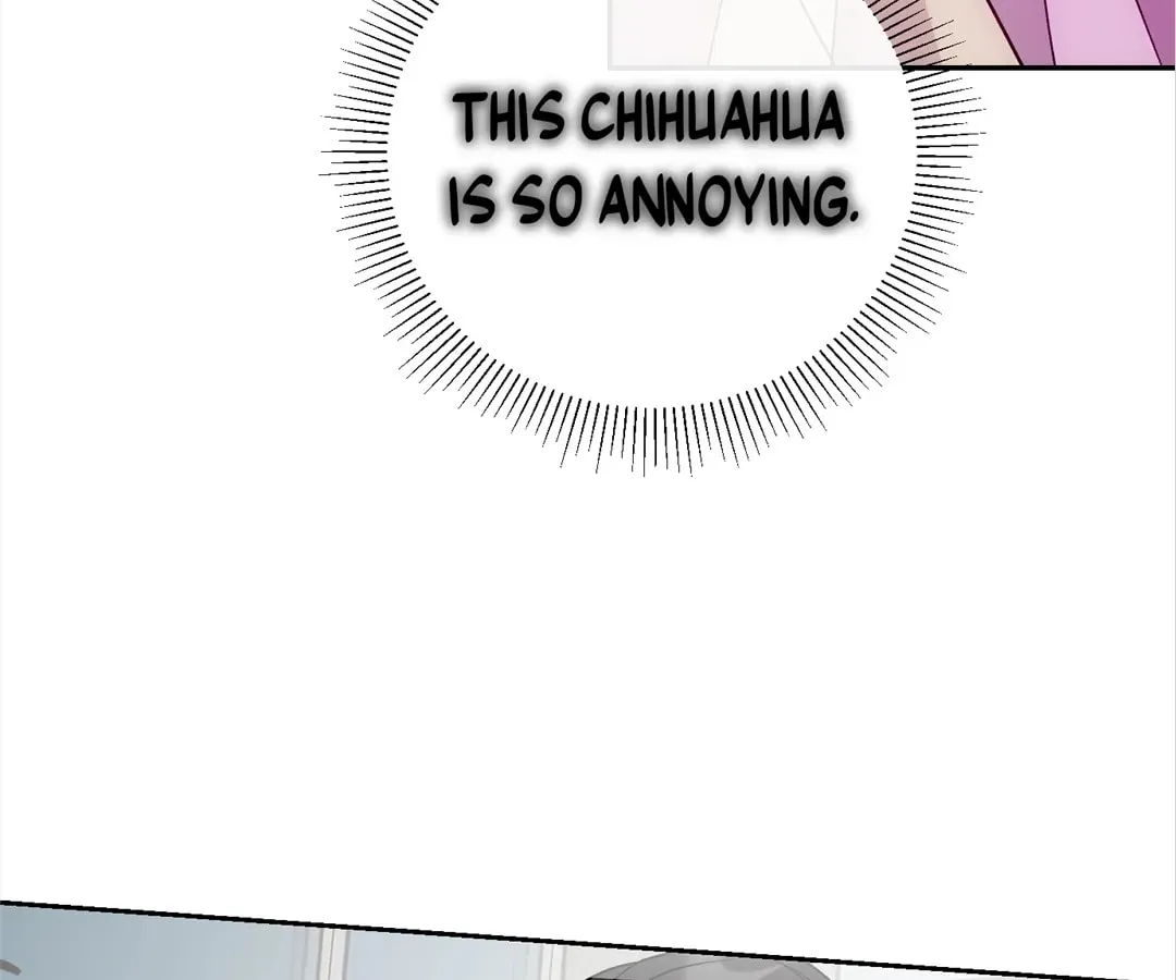 Transmigrated as an Omega who snags his Alpha Chapter 9 page 40 - 