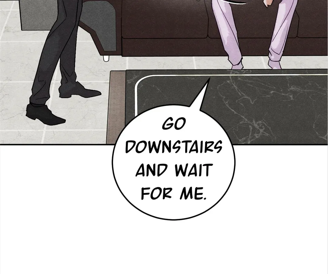 Transmigrated as an Omega who snags his Alpha Chapter 9 page 7 - 