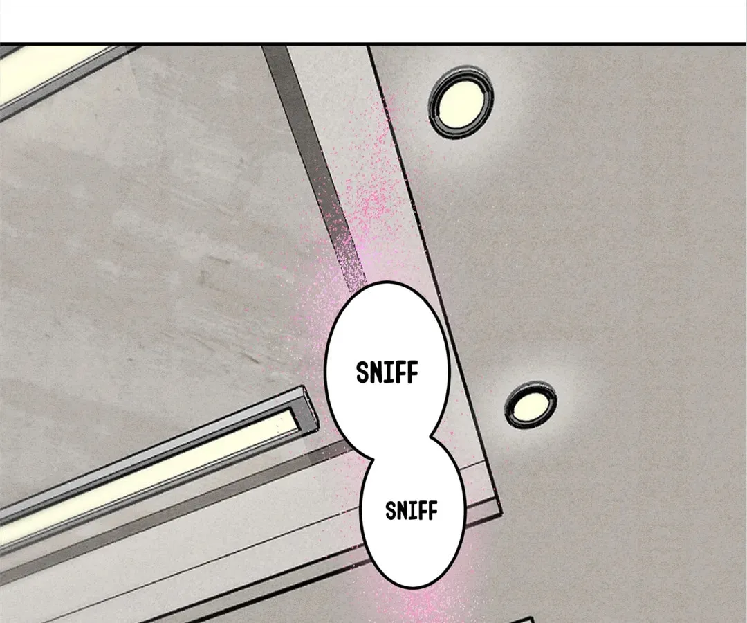 Transmigrated as an Omega who snags his Alpha Chapter 9 page 61 - 