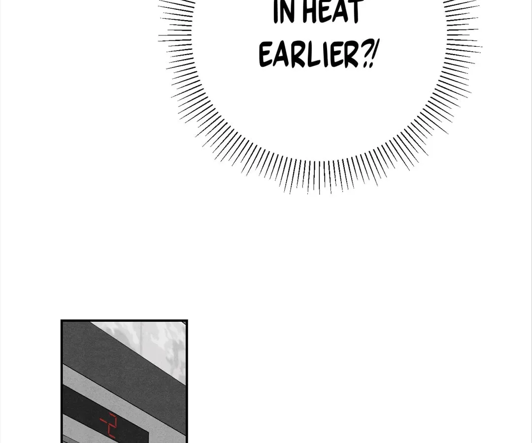 Transmigrated as an Omega who snags his Alpha Chapter 9 page 64 - 
