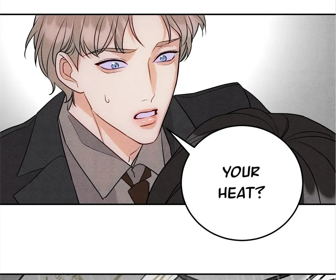 Transmigrated as an Omega who snags his Alpha Chapter 9 page 79 - 