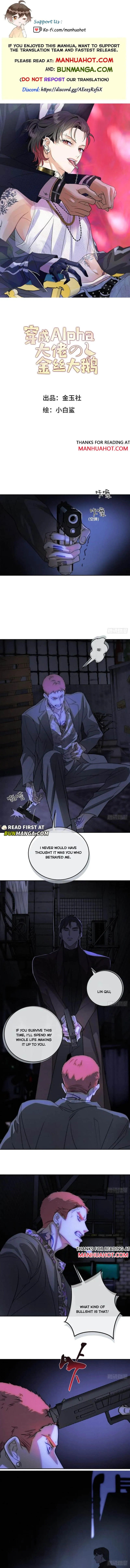 Transmigrated into the Golden Goose of the Alpha Big Boss Chapter 1 page 1 - 