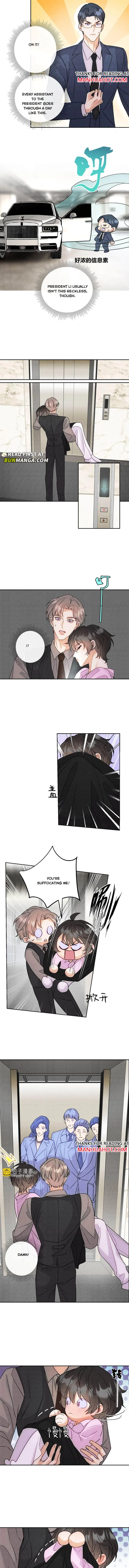Transmigrated into the Golden Goose of the Alpha Big Boss Chapter 12 page 5 - 