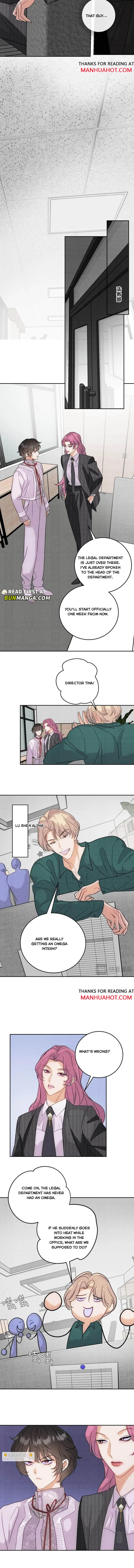 Transmigrated into the Golden Goose of the Alpha Big Boss Chapter 13 page 5 - 