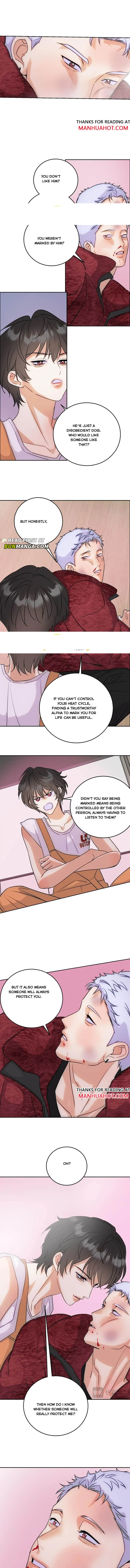 Transmigrated into the Golden Goose of the Alpha Big Boss Chapter 16 page 7 - 