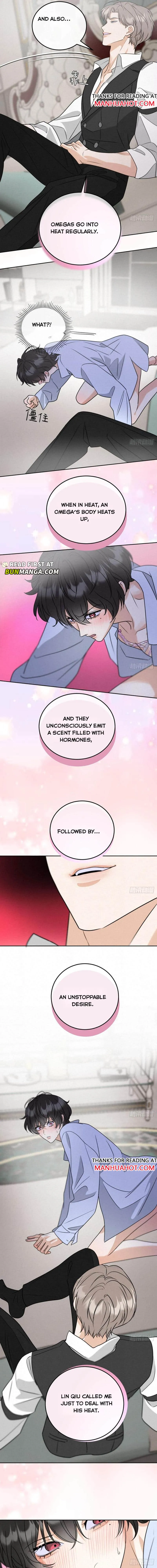 Transmigrated into the Golden Goose of the Alpha Big Boss Chapter 2 page 6 - 