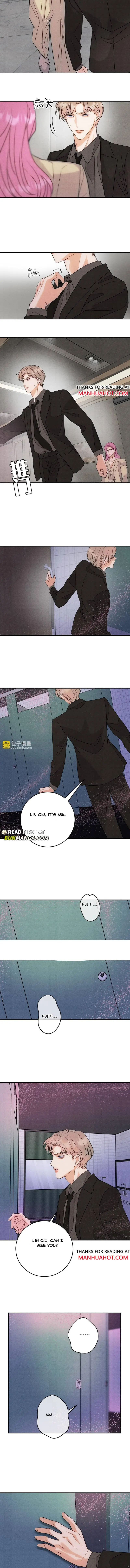 Transmigrated into the Golden Goose of the Alpha Big Boss Chapter 22 page 5 - 