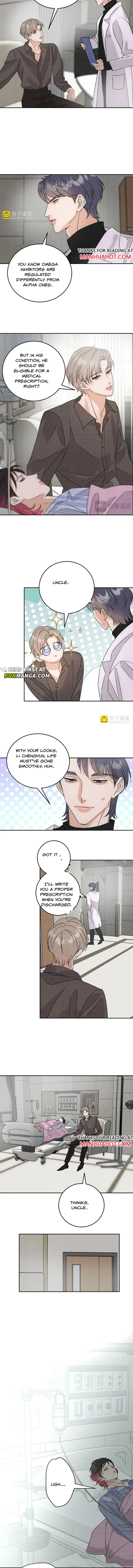 Transmigrated into the Golden Goose of the Alpha Big Boss Chapter 23 page 3 - 