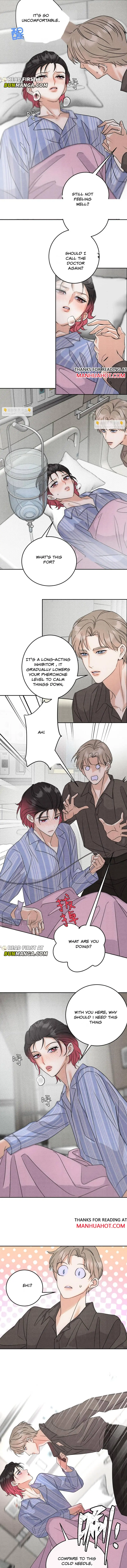 Transmigrated into the Golden Goose of the Alpha Big Boss Chapter 23 page 4 - 