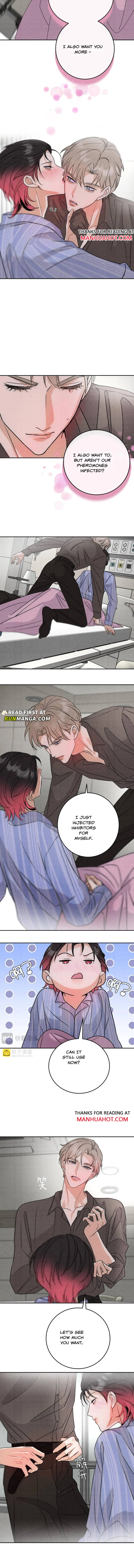 Transmigrated into the Golden Goose of the Alpha Big Boss Chapter 23 page 5 - 