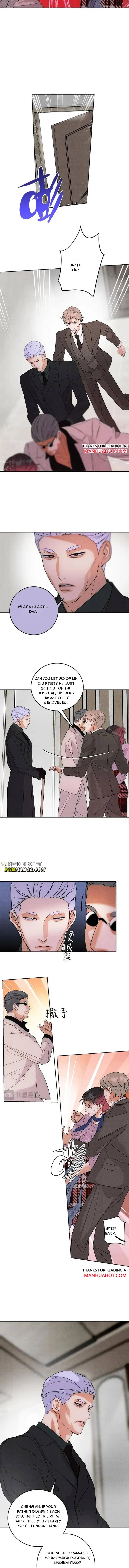 Transmigrated into the Golden Goose of the Alpha Big Boss Chapter 25 page 4 - 