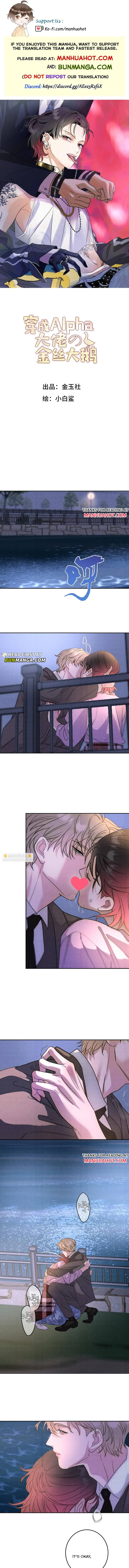 Transmigrated into the Golden Goose of the Alpha Big Boss Chapter 26 page 1 - 