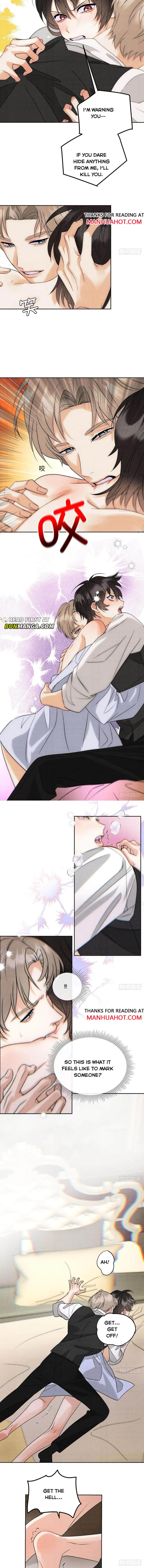 Transmigrated into the Golden Goose of the Alpha Big Boss Chapter 3 page 5 - 