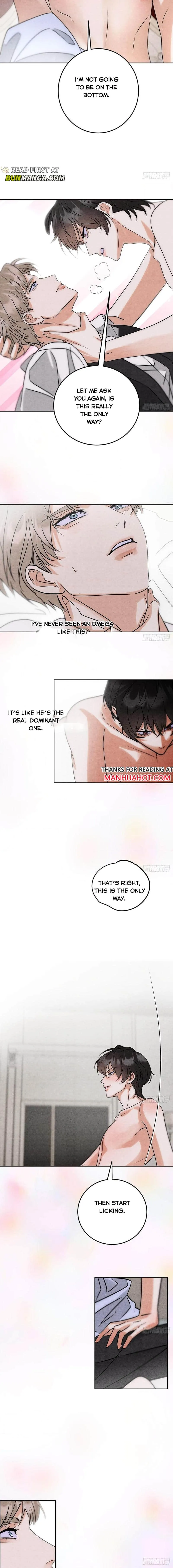 Transmigrated into the Golden Goose of the Alpha Big Boss Chapter 3 page 7 - 