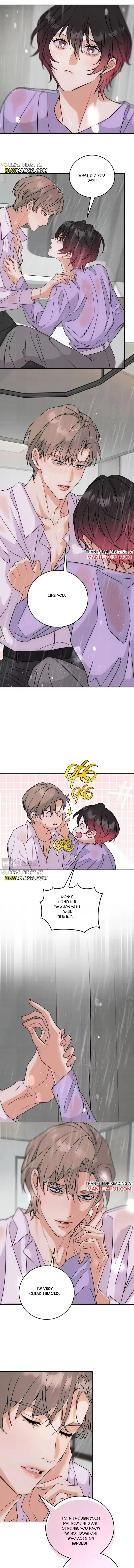 Transmigrated into the Golden Goose of the Alpha Big Boss Chapter 40 page 4 - 