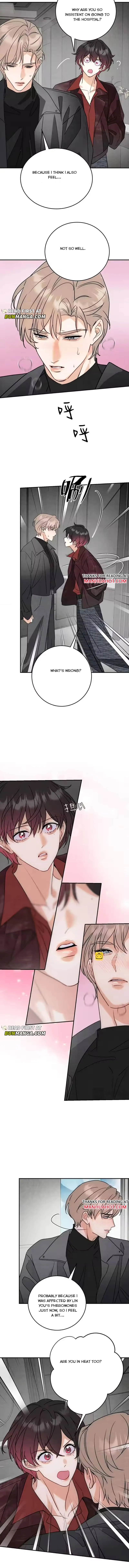 Transmigrated into the Golden Goose of the Alpha Big Boss Chapter 41 page 2 - 