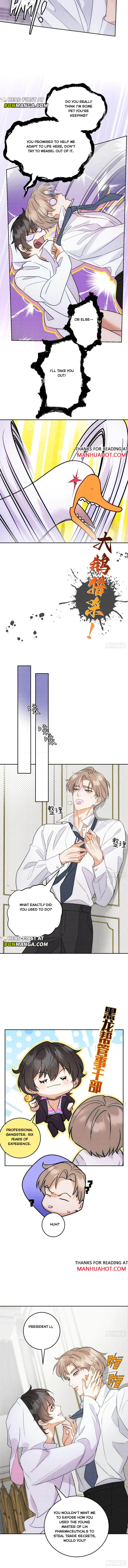 Transmigrated into the Golden Goose of the Alpha Big Boss Chapter 5 page 2 - 