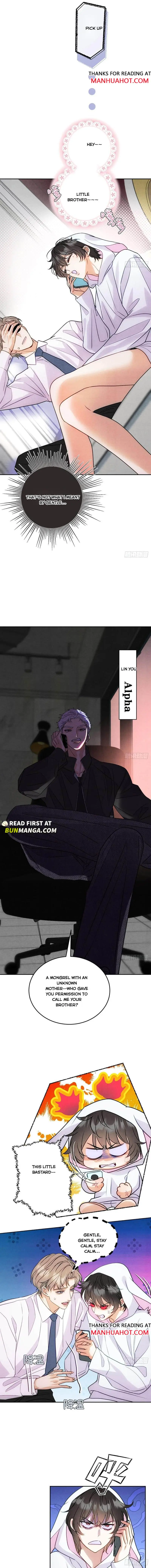 Transmigrated into the Golden Goose of the Alpha Big Boss Chapter 6 page 2 - 