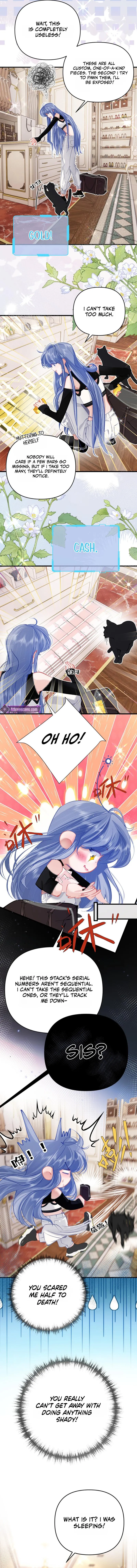 Transmigrating As A Secretly Illegitimate Millionaire Heiress, I Try to Curry Favor With The Real Heiress To Survive Chapter 7 page 5 - 
