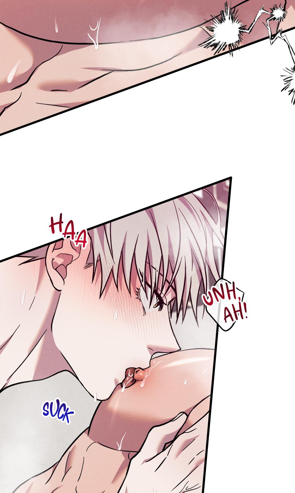 Trap OF Chance Chapter 18 page 38 - 