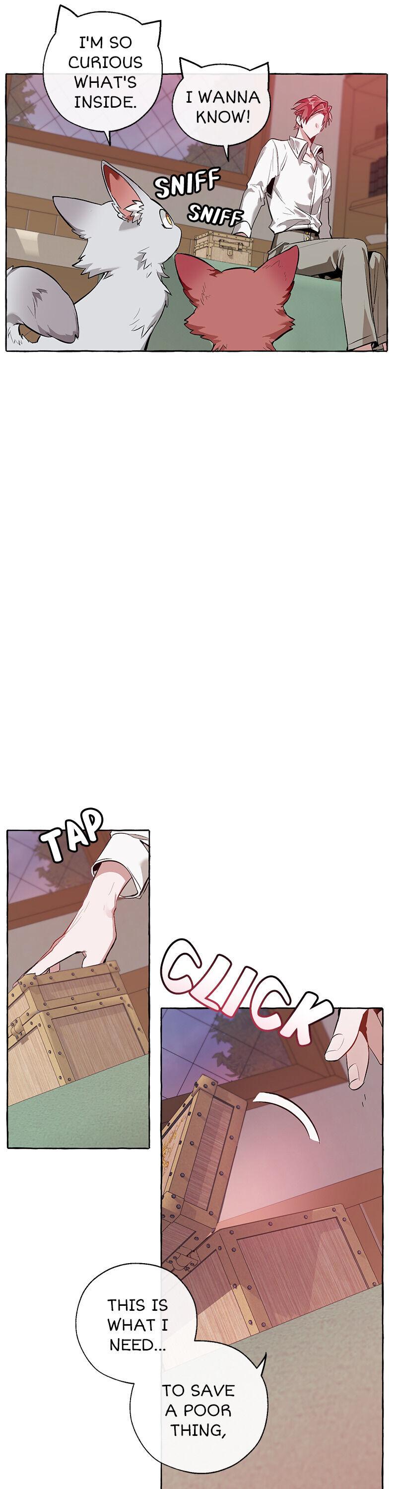 Trash of the Count’s Family Chapter 16 page 16 - 