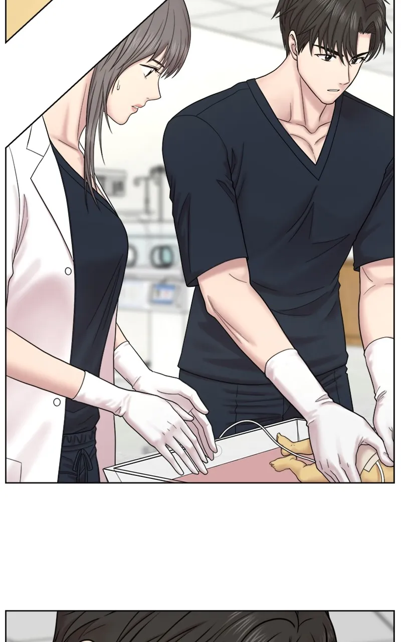 Trauma Center:Dr. Baek Chapter 13 page 5 - 