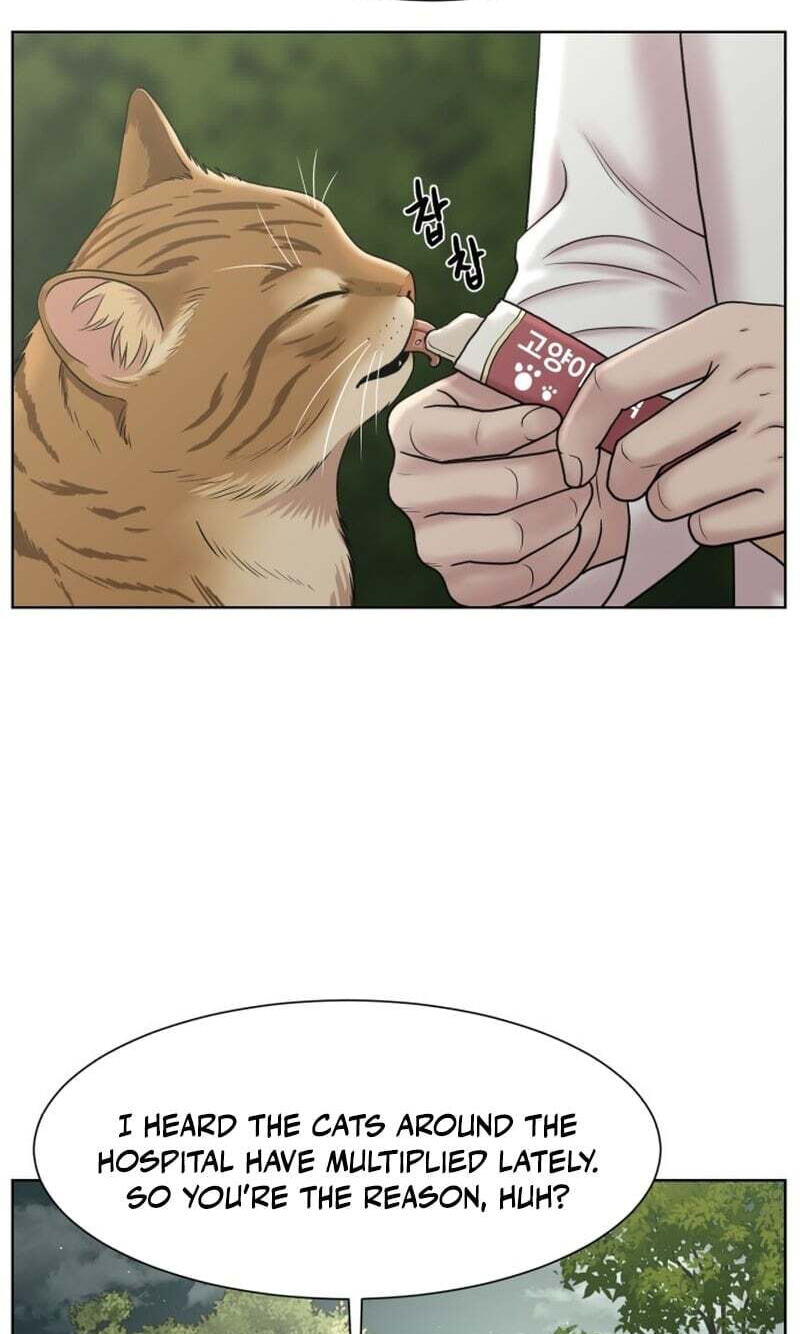 Trauma Center:Dr. Baek Chapter 38 page 14 - 