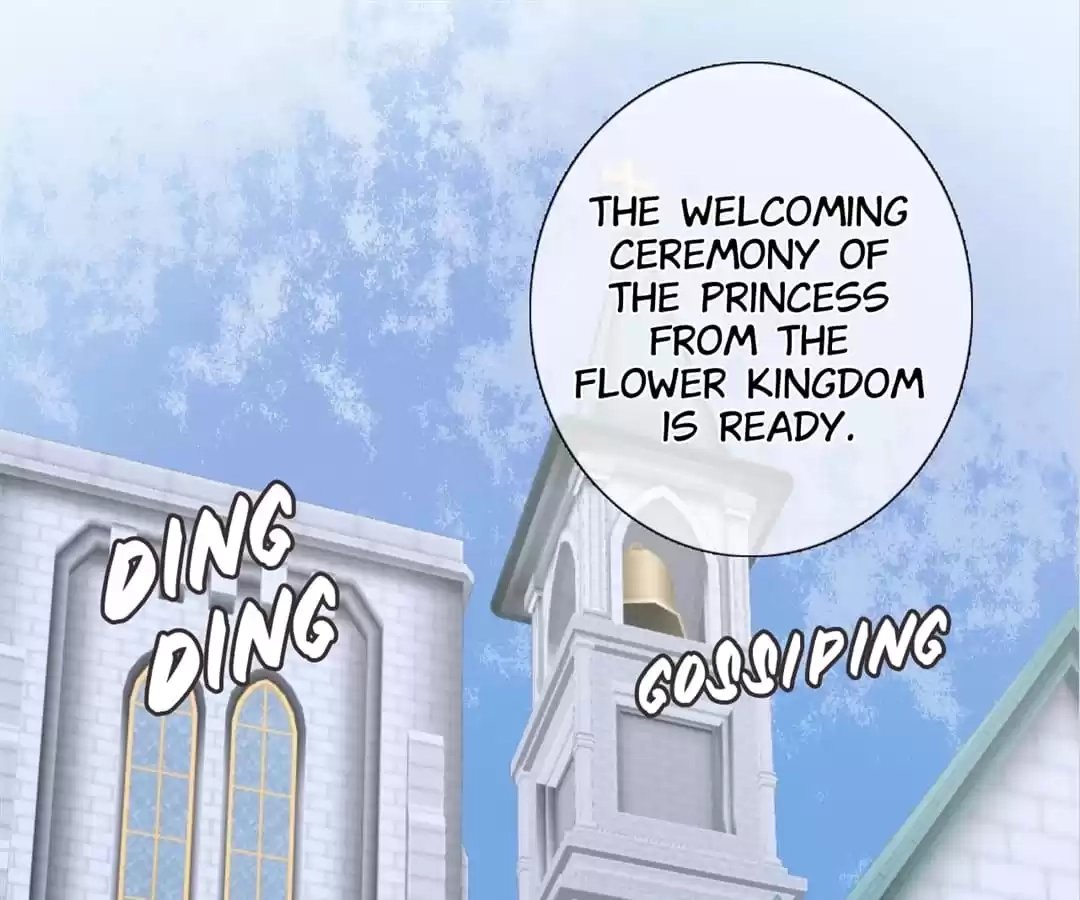  Chapter 14 page 17 - 