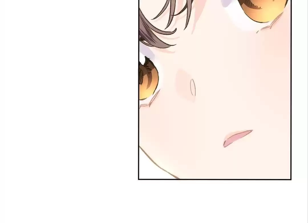  Chapter 41 page 5 - 