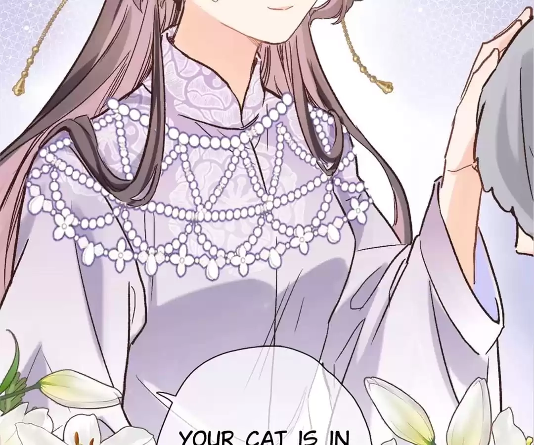  Chapter 41 page 67 - 