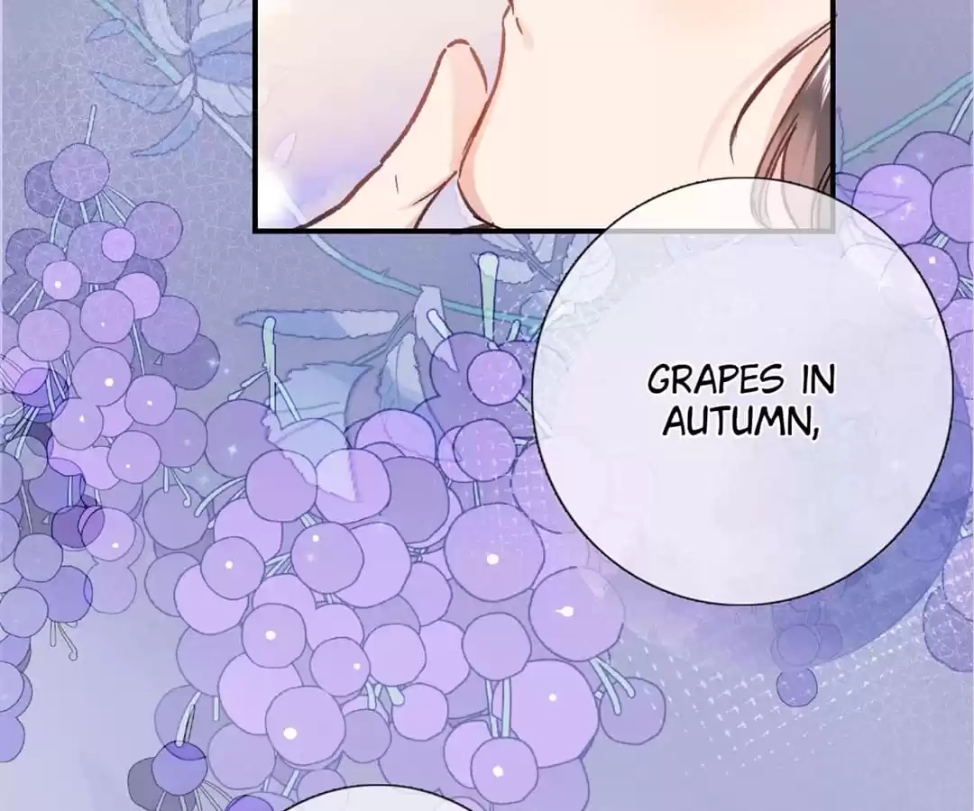  Chapter 97 page 19 - 