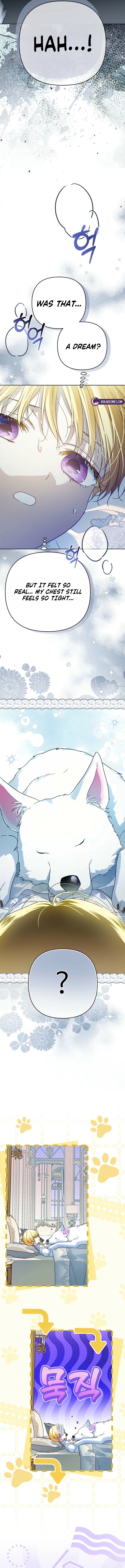 Travesti: I Became the Fake Prince Chapter 11 page 9 - 